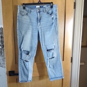 sophia Vergara 16 Light Blue Distressed Jeans. Zipper Front